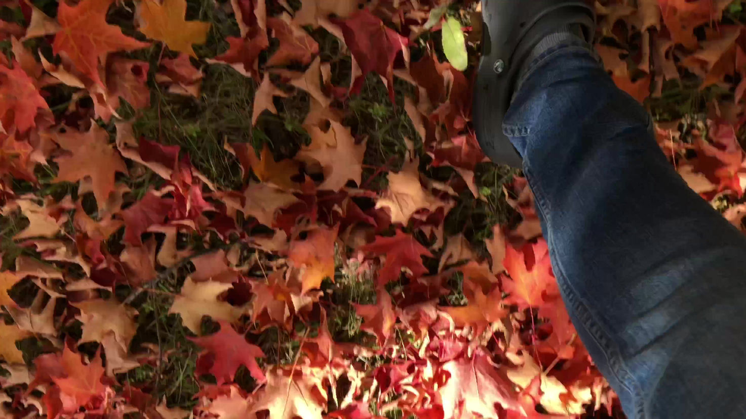 Seasonal Videos